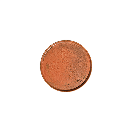 Fall Terra Stolt Düz Tabak 21 cm