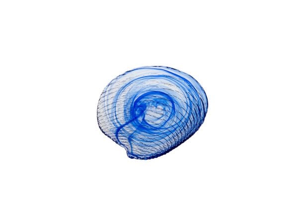 Clamocs ALABASTER COBALT BLUE