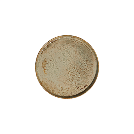 Fall Sage Stolt Düz Tabak 25,5 cm