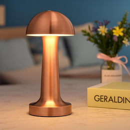 Dekoratif <br> Aksesuarlar